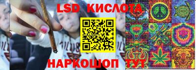 гидра Будённовск
