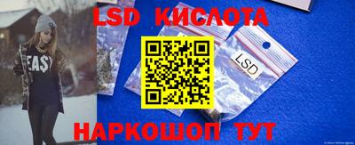 гидра Будённовск