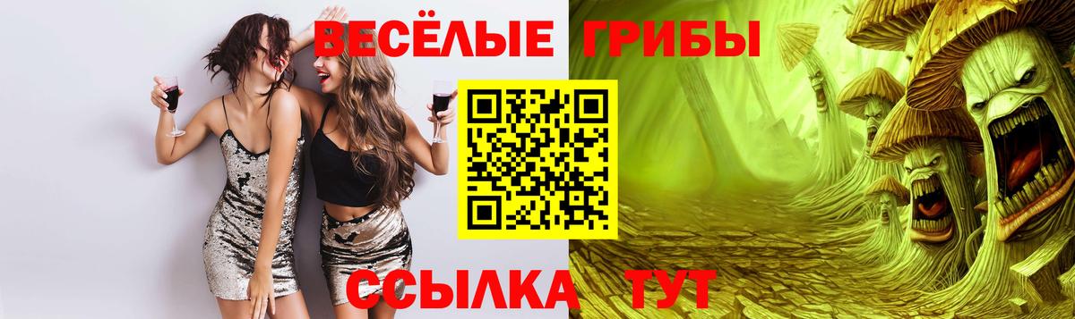 Михайловка  Галлюциногенные грибы Magic Shrooms  Вход с VPN 