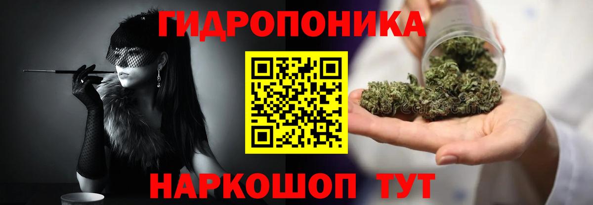 Бошки марихуана SATIVA & INDICA  Марихуана MAZAR  Вход с VPN  Михайловка  Конопля ГИДРОПОН 
